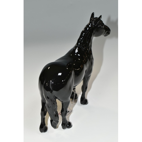 351 - A BESWICK BLACK GLOSS MODEL OF A FELL PONY, model no. 1647, printed marks to underside of hooves (Co... 