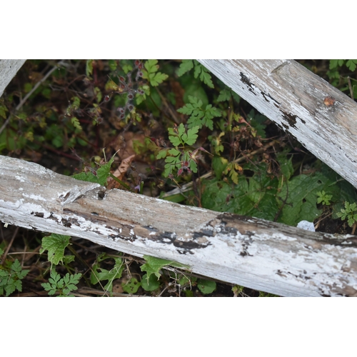 1006 - A WEATHERED CART/WAGGON WHEEL, diameter approximately 120cm (condition - weathered, losses to paint ... 