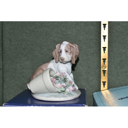 354 - FIVE LLADRO FIGURES OF DOGS, of which four are boxed, comprising boxed Sleepy Beagle Puppy model no ... 