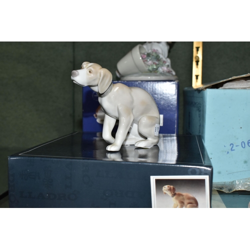 354 - FIVE LLADRO FIGURES OF DOGS, of which four are boxed, comprising boxed Sleepy Beagle Puppy model no ... 