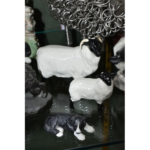 358 - A COLLECTION OF SHEEP AND SHEEPDOG THEMED ORNAMENTS, to include a Border Fine Arts Border Collie MT0... 