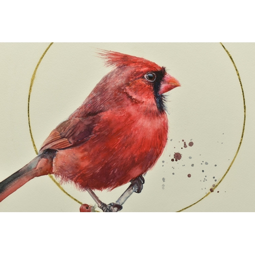 303 - SARAH STOKES (BRITISH CONTEMPORARY) 'GILDED MALE CARDINAL', a study of a red bird on a branch, encir... 