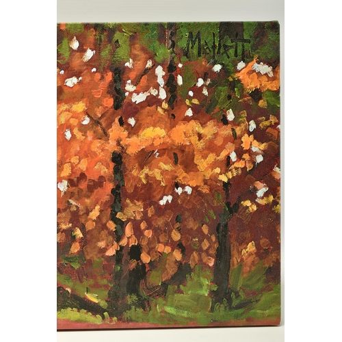 325 - TIMMY MALLETT (BRITISH CONTEMPORARY) 'WOODLAND WALK', a signed limited edition box canvas print, dep... 