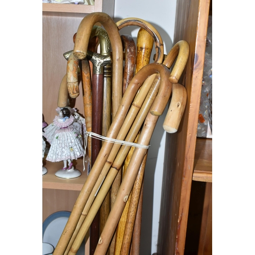 388 - A GROUP OF SIXTEEN  WOODEN WALKING STICKS AND CANES, comprising two with brass handles, one has a br... 