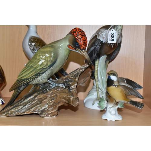 389 - FOUR ROSENTHAL PORCELAIN BIRDS, comprising a heron by Hugo Meisel, height 34.5cm, a green woodpecker... 