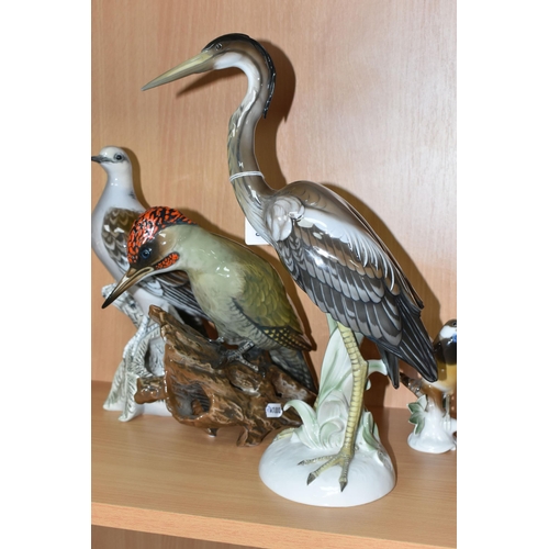 389 - FOUR ROSENTHAL PORCELAIN BIRDS, comprising a heron by Hugo Meisel, height 34.5cm, a green woodpecker... 