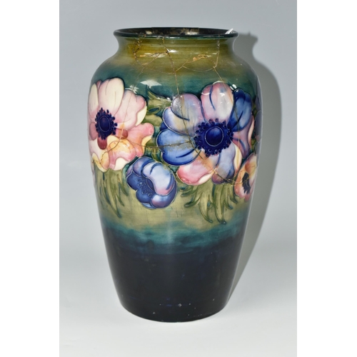 419 - A LARGE MOORCROFT POTTERY 'ANEMONE' PATTERN VASE, with tube lined Anemone pattern on a graduated gre... 