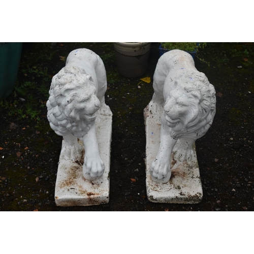 1013 - AN OPPOSING PAIR OF WHITE PAINTED COMPOSITE LIONS, with turned heads, and one front foot raised, len... 