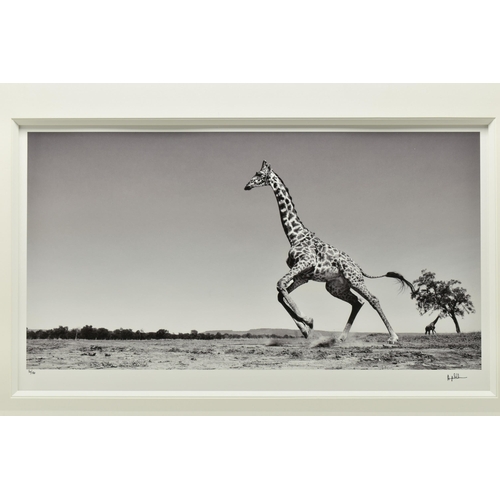 305 - ANUP SHAH (KENYAN CONTEMPORARY) 'DANCE', a signed limited edition photographic print depicting a gir... 