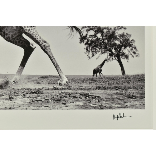 305 - ANUP SHAH (KENYAN CONTEMPORARY) 'DANCE', a signed limited edition photographic print depicting a gir... 