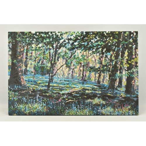 318 - TIMMY MALLETT (BRITISH CONTEMPORARY) 'Bluebell Shadows', limited edition box canvas print of a woodl... 