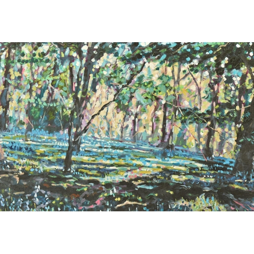 318 - TIMMY MALLETT (BRITISH CONTEMPORARY) 'Bluebell Shadows', limited edition box canvas print of a woodl... 