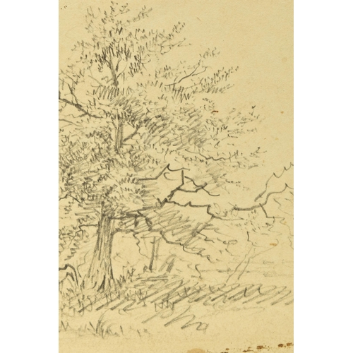 329 - CIRCLE OF PATRICK NASMYTH (1787-1831) TREES ON A RIVERBANK, unsigned pencil on paper, approximate vi... 