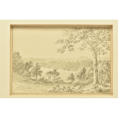 335 - ANTHONY THOMAS DEVIS ( 1729-1816) A PASTORAL LANDSCAPE WITH SHEEP, initialled bottom right, ink and ... 