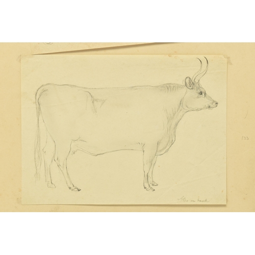 338 - CIRCLE OF WILLIAM HARVEY (1796-1866) FOUR SKETCHES OF CATTLE, to include a Hereford Bull, one sketch... 