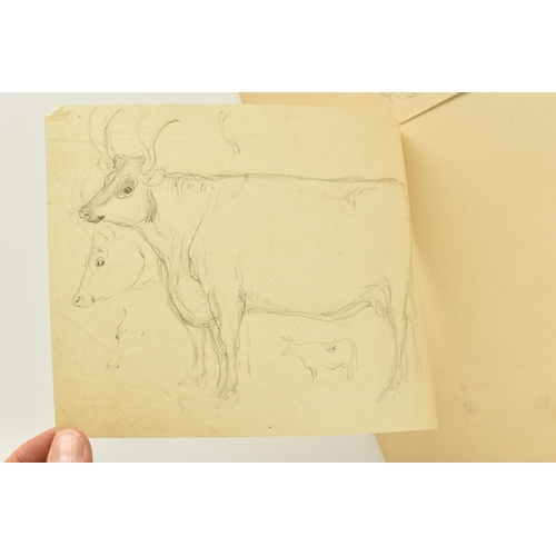 338 - CIRCLE OF WILLIAM HARVEY (1796-1866) FOUR SKETCHES OF CATTLE, to include a Hereford Bull, one sketch... 