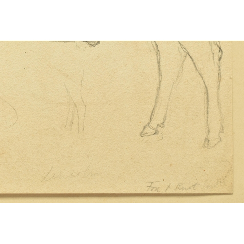 338 - CIRCLE OF WILLIAM HARVEY (1796-1866) FOUR SKETCHES OF CATTLE, to include a Hereford Bull, one sketch... 