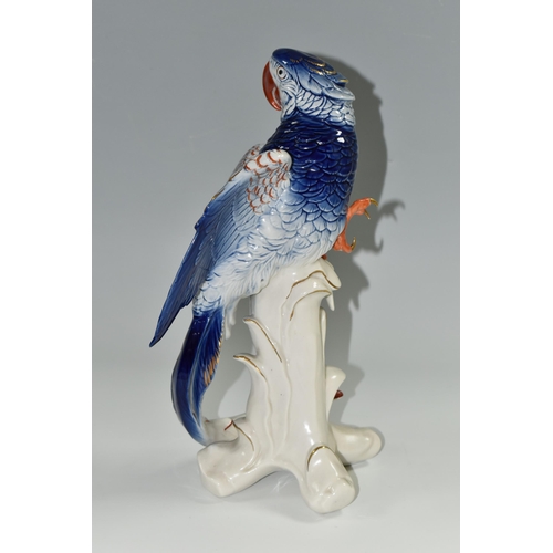 345 - A KARL ENS PORCELAIN 'MACAW' FIGURE, perched on top of a branch, blue and red gilt decoration, impre... 