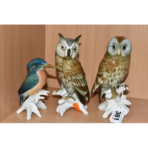 361 - THREE KARL ENS BIRD FIGURINES, comprising a barn owl, an eagle owl and Kingfisher  (3) (Condition re... 