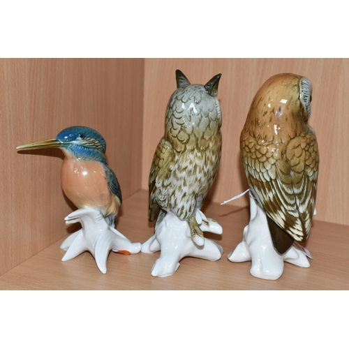 361 - THREE KARL ENS BIRD FIGURINES, comprising a barn owl, an eagle owl and Kingfisher  (3) (Condition re... 