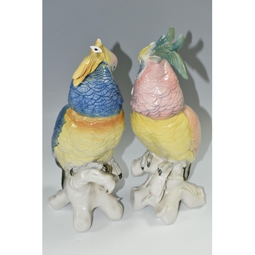 364 - TWO KARL ENS PORCELAIN COCKATOOS, each modelled perched on a branch, and glazed in pastel pinks, blu... 