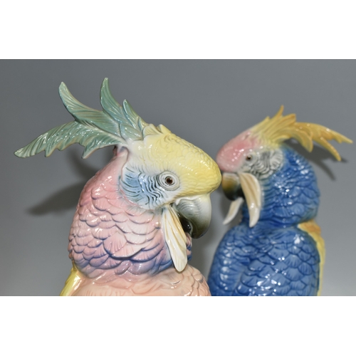 364 - TWO KARL ENS PORCELAIN COCKATOOS, each modelled perched on a branch, and glazed in pastel pinks, blu... 