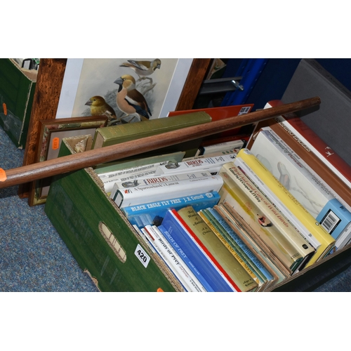 420 - ONE BOX OF BOOKS, two Bird Prints and a Walking Stick, comprising over thirty book titles in hardbac... 