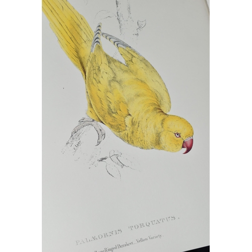 488 - THE PARROTS Die Papageien - Les Perroquets, Edward Lear, The Complete Plates, complete with text vol... 