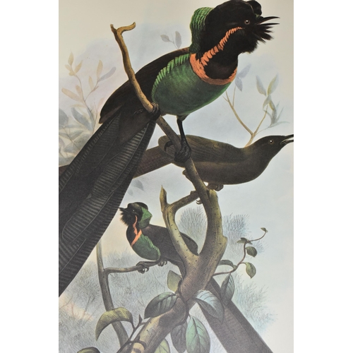 495 - ELLIOT; Daniel Giraud, A Monograph Of The Paradisaeidae or Birds of Paradise 1873, this Facsimile re... 