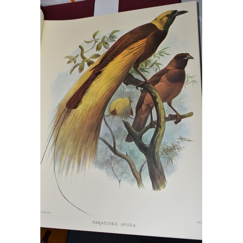 495 - ELLIOT; Daniel Giraud, A Monograph Of The Paradisaeidae or Birds of Paradise 1873, this Facsimile re... 