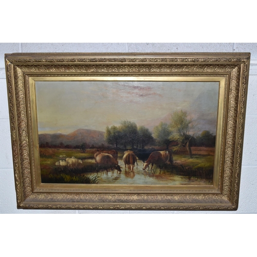 548 - A LATE VICTORIAN PICTURESQUE LANDSCAPE, depicting cattle drinking from a river, no visible signature... 