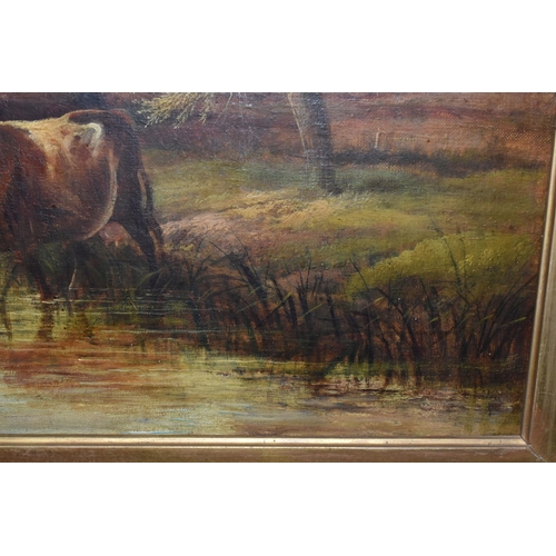 548 - A LATE VICTORIAN PICTURESQUE LANDSCAPE, depicting cattle drinking from a river, no visible signature... 