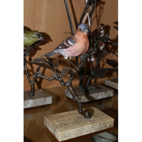 401 - A GROUP OF FIVE LIMITED EDITION ALBANY FINE CHINA LTD EUROPEAN FINCH SERIES FIGURINES, comprising  H... 