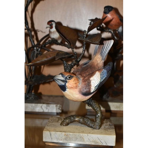 401 - A GROUP OF FIVE LIMITED EDITION ALBANY FINE CHINA LTD EUROPEAN FINCH SERIES FIGURINES, comprising  H... 