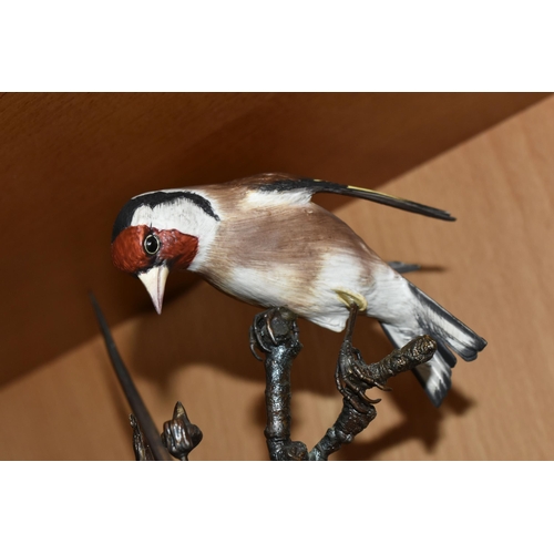 401 - A GROUP OF FIVE LIMITED EDITION ALBANY FINE CHINA LTD EUROPEAN FINCH SERIES FIGURINES, comprising  H... 