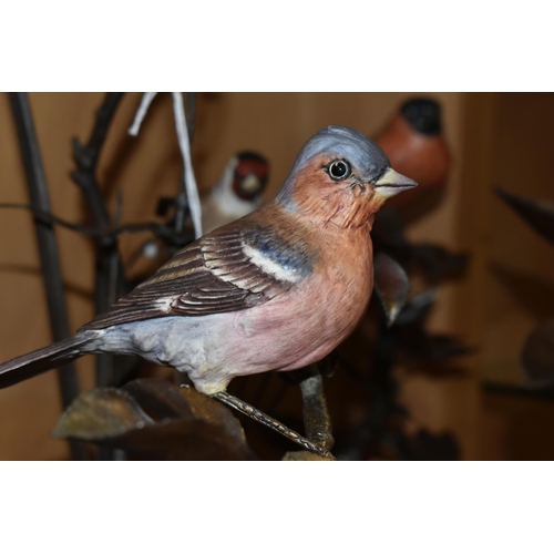 401 - A GROUP OF FIVE LIMITED EDITION ALBANY FINE CHINA LTD EUROPEAN FINCH SERIES FIGURINES, comprising  H... 