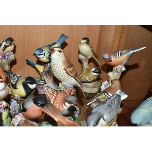 409 - A LARGE QUANTITY OF ROYAL WORCESTER BIRDS, comprising  matt glazed 3235 Kingfisher, 3234 Thrush, 337... 