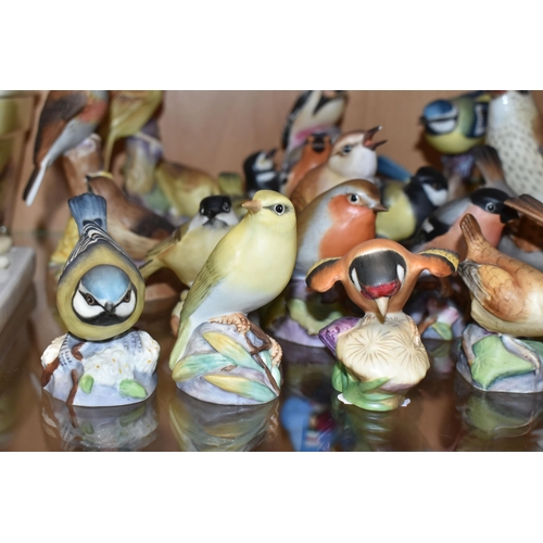 409 - A LARGE QUANTITY OF ROYAL WORCESTER BIRDS, comprising  matt glazed 3235 Kingfisher, 3234 Thrush, 337... 