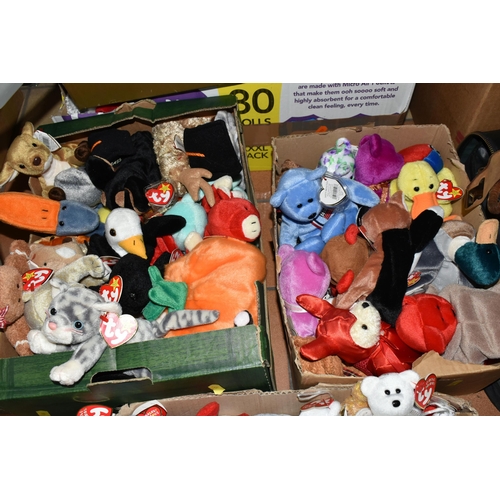 494 - SIX BOXES OF TY BEANIE BABIES ETC, to include bears, ducks and rabbits (6 boxes)