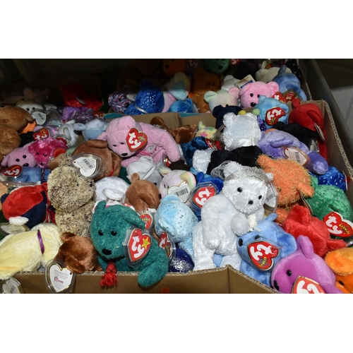 521 - A COLLECTION OF TY BEANIE BABIES, all in good condition, all with labels and tags, majority of tags ... 