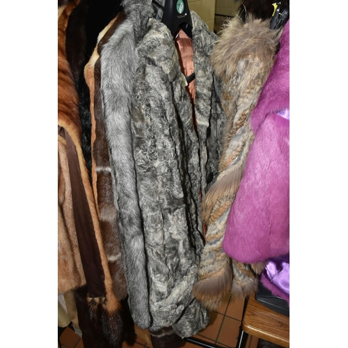 559 - FOURTEEN FUR COATS AND STOLES, to include eight fur coats, colours include black, grey, chocolate br... 