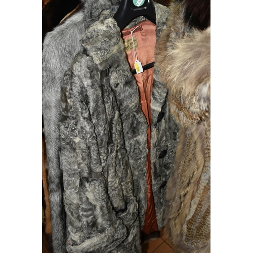 559 - FOURTEEN FUR COATS AND STOLES, to include eight fur coats, colours include black, grey, chocolate br... 