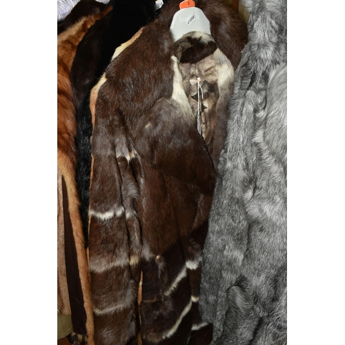 559 - FOURTEEN FUR COATS AND STOLES, to include eight fur coats, colours include black, grey, chocolate br... 