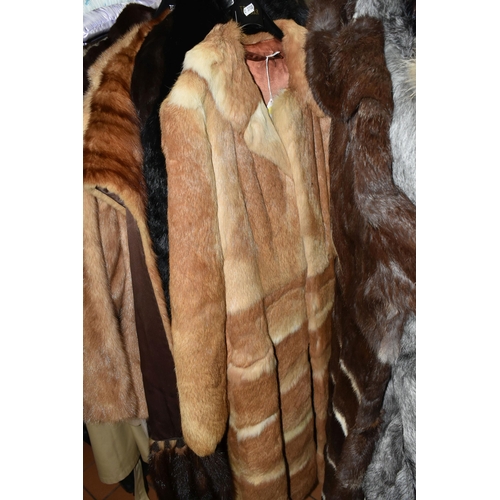 559 - FOURTEEN FUR COATS AND STOLES, to include eight fur coats, colours include black, grey, chocolate br... 