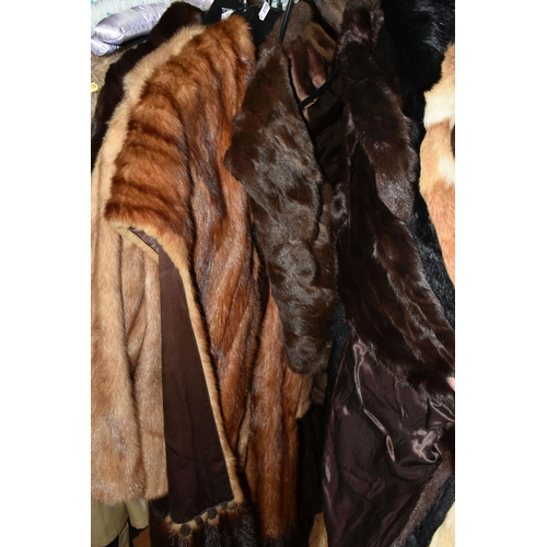 559 - FOURTEEN FUR COATS AND STOLES, to include eight fur coats, colours include black, grey, chocolate br... 