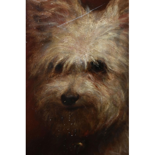 582 - AN EARLY 20TH CENTURY PORTRAIT OF A TERRIER, no visible signature, oil on board, approximate maximum... 