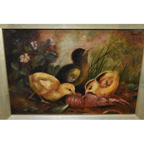 584 - AN EARLY 20TH CENTURY STUDY OF CHICKS, three chicks in a natural setting are eating a cooked prawn, ... 