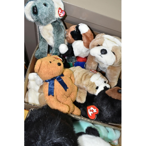 594 - THREE BOXES OF TY CLASSIC SOFT TOYS, to include Pandas, Lions, Rabbits, Bears, etc.  majority appear... 