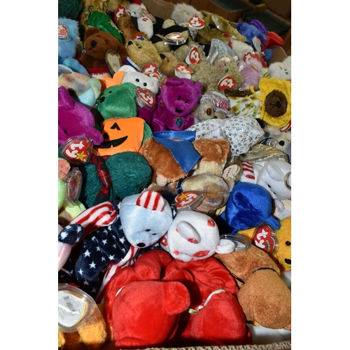 595 - A COLLECTION OF TY BEANIE BABIES, all in good condition, all with labels and tags, majority of tags ... 