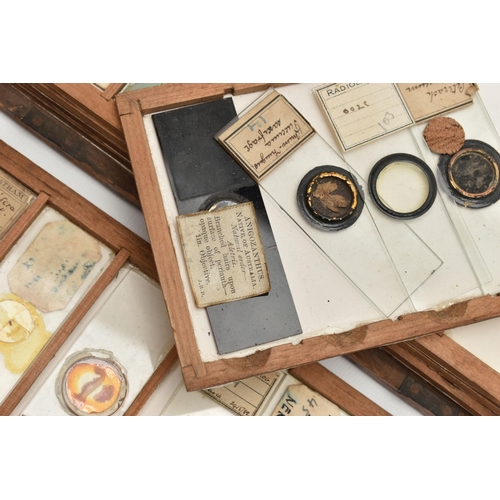 220A - A COLLECTION OF VICTORIAN AND EARLY 20TH CENTURY MICROSCOPE SLIDES IN A FITTED WOODEN BOX, the slide... 